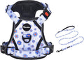 Petmolico No Pull Dog Harness and Leash Set, No Choke 4 Leash Attchments Easy Control Handle Soft Padded Reflective Vest Dog Harness for Medium Dog Breed, Daisy Medium