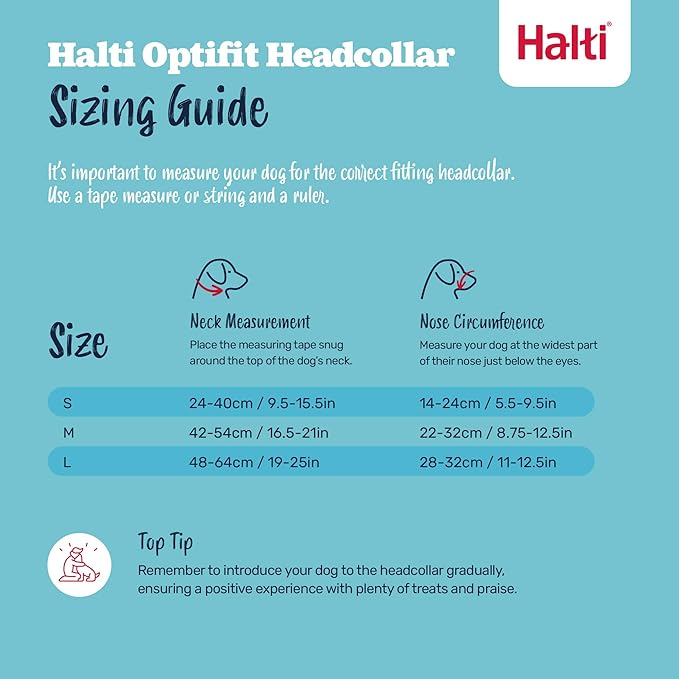 Halti Optifit Headcollar & Halti Training Leash Size Large, Black Combination Pack - Stop Your Dog Pulling on the Leash. Adjustable with Padded Nose Band. Suitable for Large Dogs