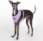 Puppia Dotty Dog Harness A (Over-the-Head) Fashionable Polka Dot Pattern Spring Summer Harness for Small Dogs, Violet, Small