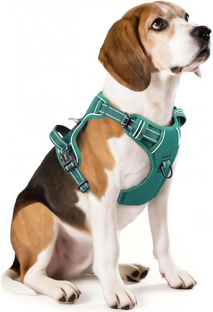 HEELE Dog Harness for Medium Dogs No Pull Dog Vest Harness with Soft Padded Handle Reflective for Outdoor Training, Grass Green, M