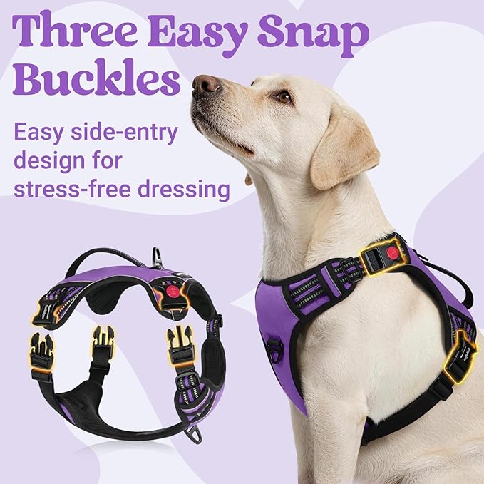 rabbitgoo Dog Harness for Large Dogs, No Pull Pet Harness with Soft Padded Handle, Adjustable Reflective Vest with 3 Buckles, Easy Walking Harness with 2 Leash Clips, Purple, L