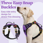 rabbitgoo Dog Harness for Large Dogs, No Pull Pet Harness with Soft Padded Handle, Adjustable Reflective Vest with 3 Buckles, Easy Walking Harness with 2 Leash Clips, Purple, L