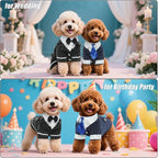 DENTRUN Dog Tuxedo Suit with Bow Tie - Formal Black & White Striped Pet Costume Shirt, Elegant Wedding Outfit Birthday Party Attire for Chihuahua Yorkie Shih Tzu Pomeranian Small Dogs, S