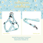 QQPETS Dog Harness Leash Set Adjustable Heavy Duty No Pull Halter Harnesses for Small Medium Large Breed Dogs Back Clip Anti-Twist Perfect for Walking