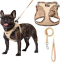 AMTOR Small Dog Harness with Leash Set, No Escape Easy Walk Puppy Harnesses for Training Walking, Step-in Reflective Soft Dogs Vest for XS S Medium Extra-Small Large Sized Dog(Beige,M)