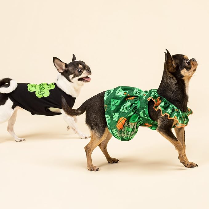 Fitwarm Happy St Patricks Day Dog Clothes, Summer Dog Clothes for Small Dogs Boy Girl, Funny Dog Tshirt, Lightweight Breathable Cotton, Pet Cat Outfit, Black, Green, XXL