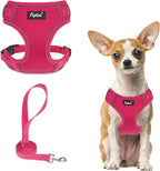 PUPTECK Small Dog Harness and Leash Set, No Pull Adjustable Puppy Cat Harness, Reflective Soft Mesh Pet Vest Small Sized, Fuchsia, XS