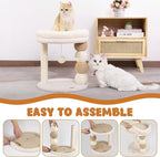 Small Cat Tree for Indoor Cats with Large Cozy Plush Top Perch, Natural Sisal Scratching Posts for Kittens and Cats
