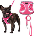 AMTOR Small Dog Harness with Leash Set, No Escape Easy Walk Puppy Harnesses for Training Walking, Step-in Reflective Soft Dogs Vest for XS S Medium Extra-Small Large Sized Dog(Fuchsia,XS)