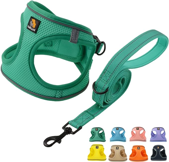 BELLA & PAL Step in Vest Harness for Small and Medium Dogs, No Pull Small Dog Harness with Leash Set, Comfortable Air Mesh Dog Vest Harness with Reflective Strip (Emerald, L)
