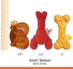 Nylabone Power Chew Toy Bundle, Cute Dog Toys for Aggressive Chewers, Filet Mignon, Cheese, and Bacon Flavors, Small Dogs - Up to 25 lbs, 3 Pack
