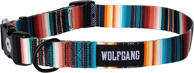 Wolfgang Heavy Duty, Adjustable Dog Collar with Quick Release Nylon Buckle for Walking & Training, LostArt Print, Large