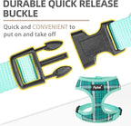 PUPTECK Soft Mesh Dog Harness and Leash Set Pet Puppy Cat Comfort Padded Vest No Pull Harnesses, Green, XS