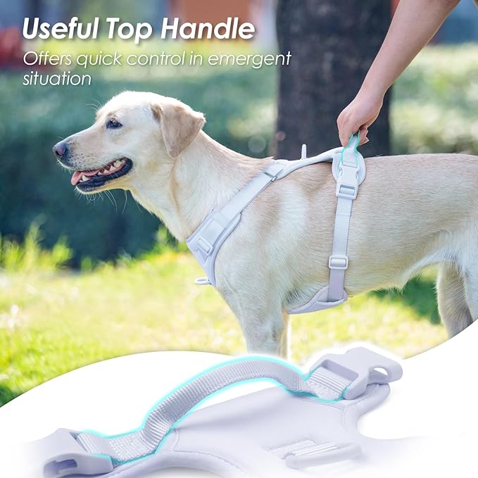 No Pull Dog Harness, Puppy Vest with Front Clip for Small Medium Large Sized Dog(Light Blue,S)