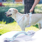 No Pull Dog Harness, Puppy Vest with Front Clip for Small Medium Large Sized Dog(Light Blue,XL)