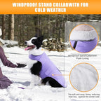 iBuddy Dog Winter Coat for 2X- Large Dogs, Easy on XXL Dog Fleece Jacket Velcro Waterproof Pet Puffer Clothes with Harness Hole Adjustable Reflective Quilted Pet Cold Weather Vest for Girl Female