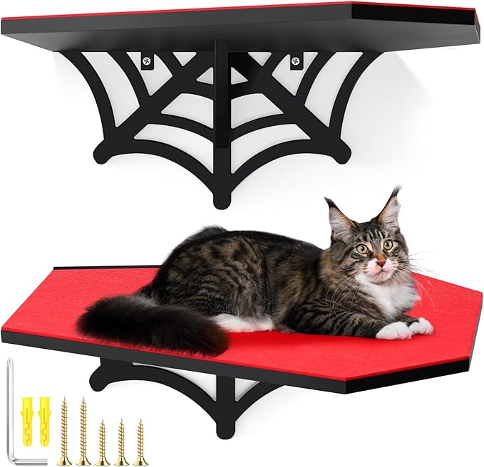 Gothic Wall Mounted Halloween Shelf Coffin Spider Web Style Cat Tree Wall Load Bearing up to 30 Lbs/ 14 kg Black Cat for Indoor