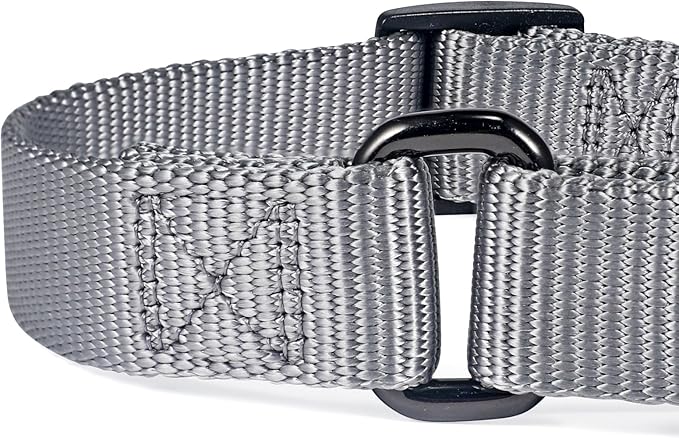 Premium Nylon Adjustable Anti-Escape Martingale Dog Collars,Sturdy,Comfort and Silky Dog Collar for Large Dogs Walking,Training,etc... (Ultimate Grey, Large)