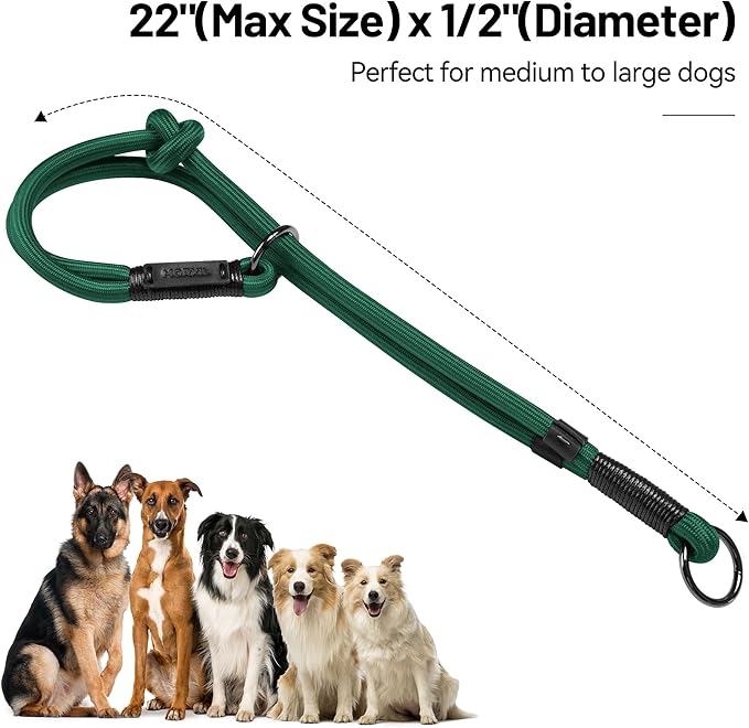 Slip Dog Collar, Nylon Rope Dog Choker Collars with Adjustable Stopper, Heavy Duty Collar for Medium Dog Training (Green)