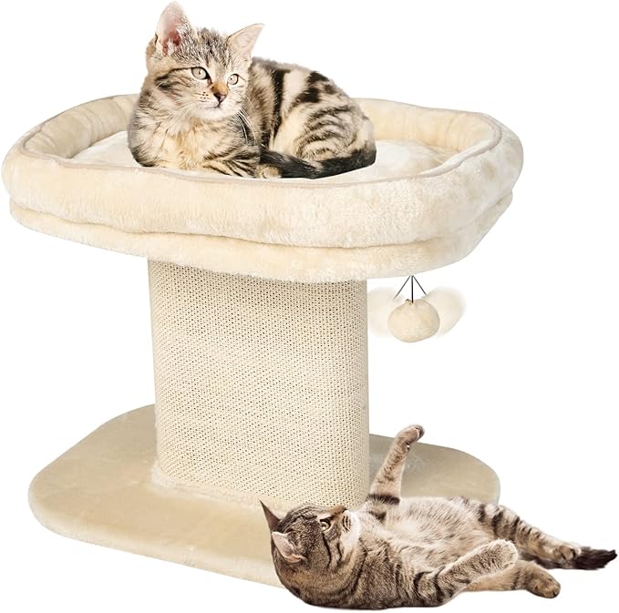 PETSITE 19.5-inch Small Cat Tree, 2-Tier Minimalist Cat Tree with Sisal Scratching Post, Extra Large Comfy Top Perch, and Dangling Ball, Ideal for Indoor Cats, Supports up to 44 lbs, Beige