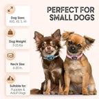 Tiny Bark Collar for Small Dogs 5-15 lbs and Puppies - No Shock Anti Barking Collar - Rechargeable Smart Collar for Dog Training with 7 Sensitivity Levels and 3 Beep&Vibration Modes (Pure Pink)