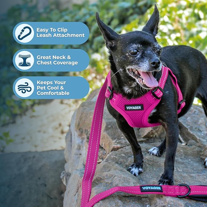 Best Pet Supplies Voyager Adjustable Step-In Flex Breathable Mesh Dog Harness for Small Medium Large Dogs (Fuchsia), XL