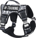 No Pull Dog Harness for Small Dog Breeds, Anti-Escape Easy Walking Reflective Adjustable Lightweight Dog Vest with Breathable Oxford Material, Easy on Easy Off with Neck Buckle,Black Ethnic XS