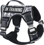 No Pull Dog Harness for Small Dog Breeds, Anti-Escape Easy Walking Reflective Adjustable Lightweight Dog Vest with Breathable Oxford Material, Easy on Easy Off with Neck Buckle,Black Ethnic XS