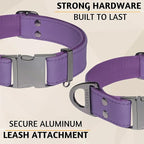 ADITYNA Leather Dog Collar with Metal Buckle - Heavy-Duty, Adjustable for Medium & Large Dogs - Walking, Training, Hiking (Purple, Fits 15-21" Necks)