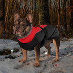 IECOii Extra Warm Dog Coat - Reflective Adjustable Jacket With Buckle Fleece Turtleneck for Cold Weather - Soft Winter Coat for Small Medium Extra Large Dogs