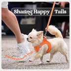 rabbitgoo Dog Harness Small Sized and Leash Set, Step in Soft Light Puppy Vest, Breathable Mesh Pet Harness, Reflective for Safe Easy Walking, Orange M