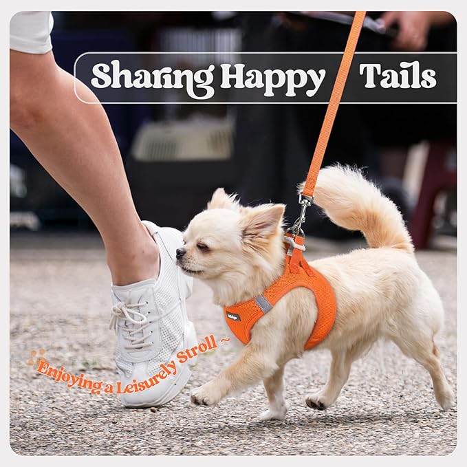 rabbitgoo Dog Harness Small Sized and Leash Set, Step in Soft Light Puppy Vest, Breathable Mesh Pet Harness, Reflective for Safe Easy Walking, Orange M