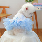 Fashion Sweet Puppy Dog Blingbling Princess Skirt Pet Dog Lace Cake Camisole Tutu Dress B-Light Blue XXS