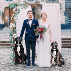 Dog Wedding Outfit, Tux Suit Dog Tuxedo Collars Bandana with Bow Tie for Small Medium Large Pet Dogs, Blue L