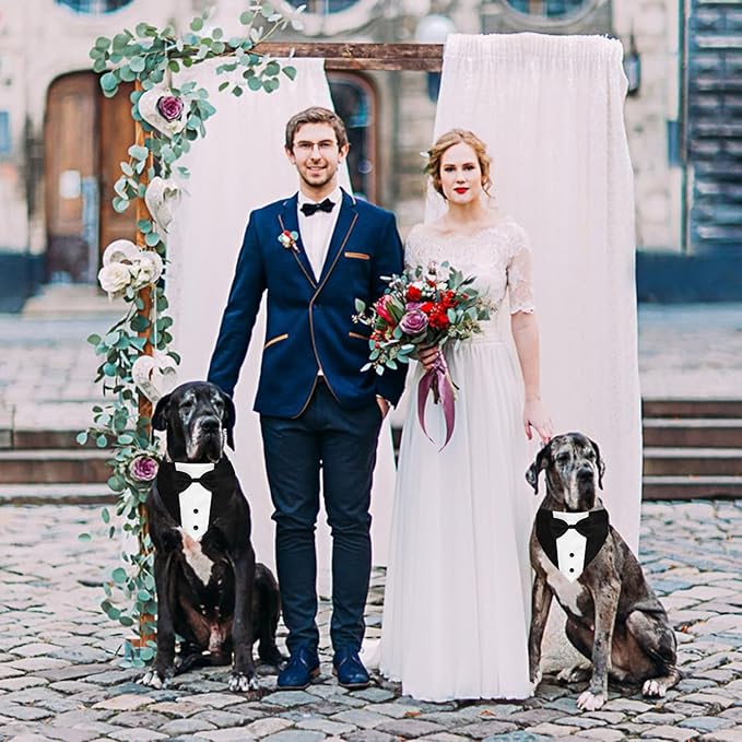 Small Dog Tuxedo, Tux Suit Dog Wedding Outfit Bandana with Bow Tie Collars for Small Medium Large Pet Dogs, Red S