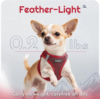 Eagloo Small Dog Harness and Leash Set, Step in Puppy Vest with Breathable Soft Mesh, Walking Reflective Pet Harness for Extra Small Dogs, Red, XXS
