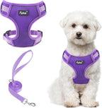 PUPTECK Small Dog Harness and Leash Set, No Pull Adjustable Puppy Cat Harness, Reflective Soft Mesh Pet Vest Small Sized, Purple, M
