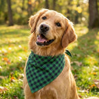 Dog Bandanas 1 Pack; Cotton Linen Green Bandana Plaid for Large Dogs; Soft Breathable Dog Accessories; Dog Apparel & Accessories
