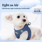 rabbitgoo Dog Harness Small Sized and Leash Set, Step in Soft Light Puppy Vest, Breathable Mesh Pet Harness, Reflective for Safe Outdoor Walking, Navy Blue S