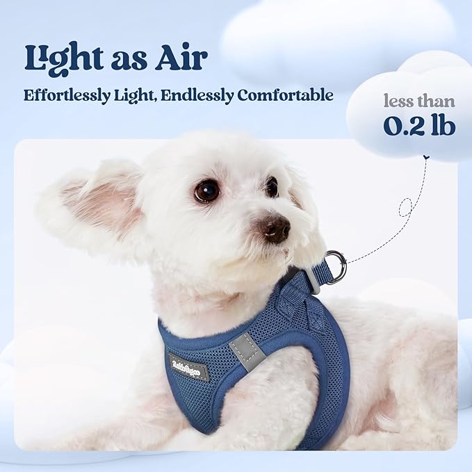 rabbitgoo Dog Harness Small Sized and Leash Set, Step in Soft Light Puppy Vest, Breathable Mesh Pet Harness, Reflective for Safe Outdoor Walking, Navy Blue XS