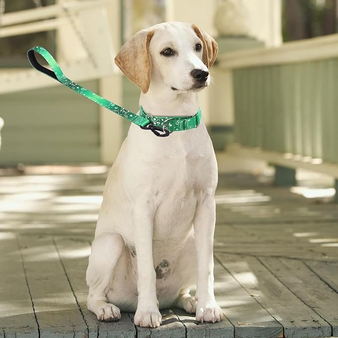 Martingale Collar and Leash Set, Premium No Slip Martingale Collar for Dogs Medium Large, Girl Dog Collars Training (NO3, L)
