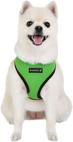 Puppia Soft Harness II - Green - XL
