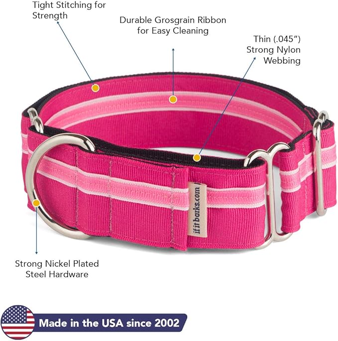 If It Barks - 1.5" Martingale Collar for Dogs - Adjustable - Nylon - Strong and Comfy - Ideal for Training - Made in USA - Medium Bubble Gum