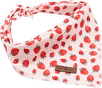 Lionet Paws Dog Bandana,Fabric Pink Dogs Kerchief for Small Medium Large Dogs,Dog Cotton Triangle Bibs Scarf for Girl Boy