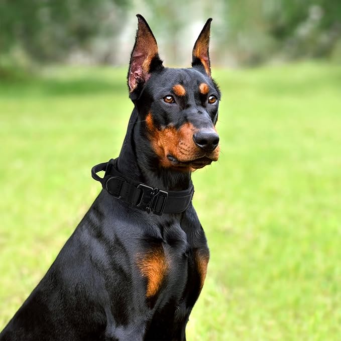 Tactical Dog Collar Set, Adjustable Military Training Nylon Dog Collar with Control Handle and Heavy Quick-Release Metal Buckle for Small Medium Large Dogs, Black Set XXL