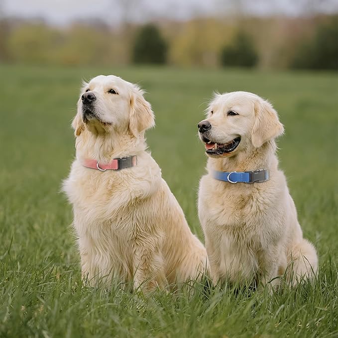 Modern Stylish Ecollar Replacement Strap, Nylon 3/4" Replacement Collar for Shock Collar with Quick Release Buckle, Adjustable Shock Collar Replacement Strap for Small Medium Large Dogs (Blue & Pink)