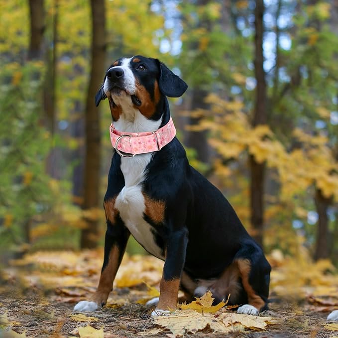 Martingale Collar for Dogs, Heavy Duty Adjustable Soft Nylon Dog Collars with Pink Flower for Medium & Large XL Dogs (Pink Flower,L)