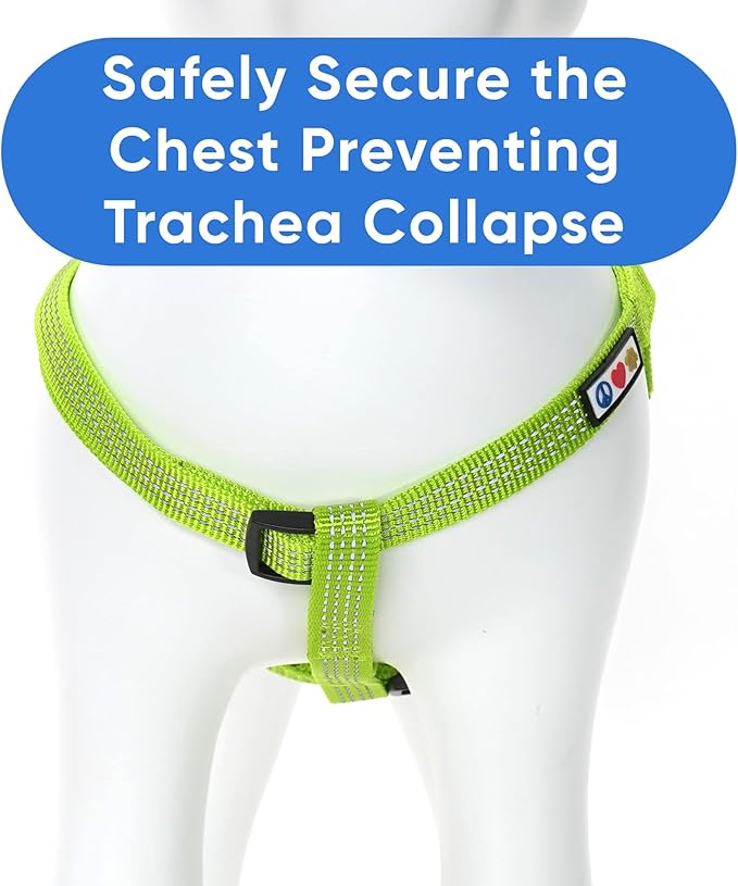 Pawtitas Reflective Step-in Dog Harness – Adjustable No-Pull Vest for Puppies to Seniors, Safe & Comfortable, S Green
