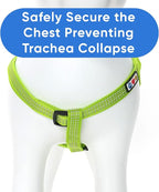 Pawtitas Reflective Step-in Dog Harness – Adjustable No-Pull Vest for Puppies to Seniors, Safe & Comfortable, XS Green