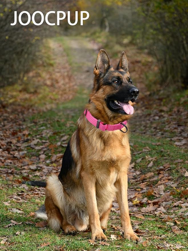 Martingale Dog Collar, Reflective No Pull Training Collar with Quick Release Buckle, Adjustable Heavy Duty Nylon Choker Collars for Small Medium Large Dogs(S,Pink)